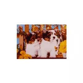 Раскраска по номерам на картоне А3 "Щенята с одуванчиками", 30х40 см