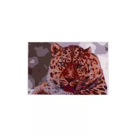 Раскраска по номерам на картоне "Гепард", 20х30 см