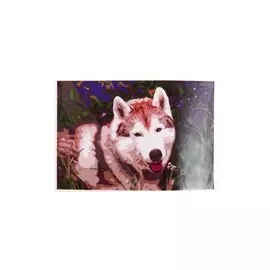 Раскраска по номерам на картоне "Хаски в поле", 20х30 см