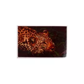 Раскраска по номерам на картоне "Леопард", 20х30 см