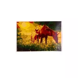 Раскраска по номерам на картоне "Лошадь и жеребенок", 20х30 см