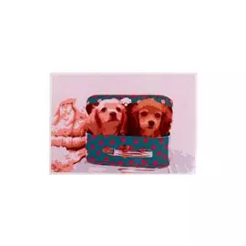 Раскраска по номерам на картоне "Милые щенки", 20х30 см