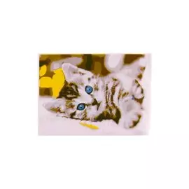 Раскраска по номерам на картоне "Серый котенок", 20х30 см