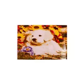 Набор ТМ Рыжий Кот Раскраска на картоне A4 Щеночек в цветах (Арт. Р-2393)