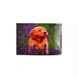 Раскраска по номерам на картоне "Щенок в лавандовом поле", 20х30 см