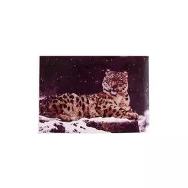 Раскраска по номерам на картоне "Снежный барс", 20х30 см