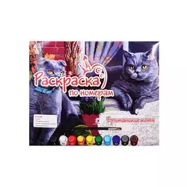 Раскраска по номерам "Британские коты"