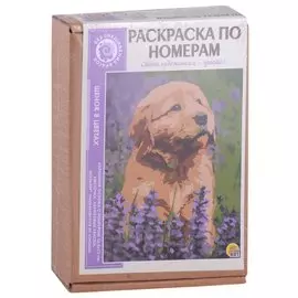 Раскраска по номерам. Щенок в цветах