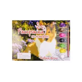 Раскраска по номерам. Собака. Колли