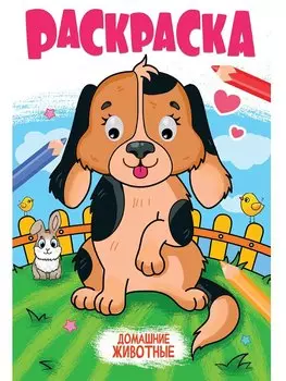 Раскраска с глазками. Домашние животные