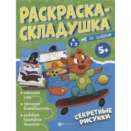 Раскраска-складушка. Секретные рисунки