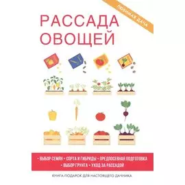 Рассада овощей