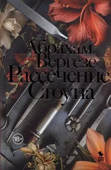 Рассечение Стоуна. Роман