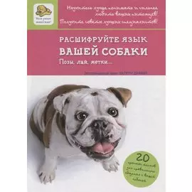 Расшифруйте язык вашей собаки. Позы, лай, метки…