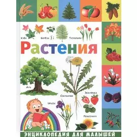 Растения