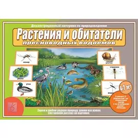 Растения и обитатели пресноводных водоемов. 4-7 лет. Демонстрационные материалы по природоведению