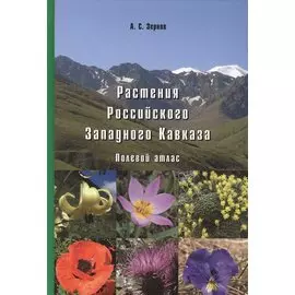 Растения Российского Западного Кавказа: Полевой атлас