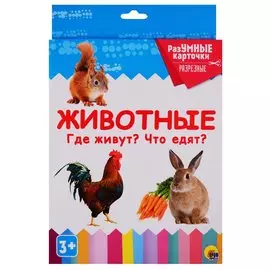 Животные. Где живут? Что едят? 20 карточек
