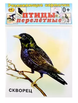 Развивающие карточки Птицы перелетные (0+) (12 карточек)