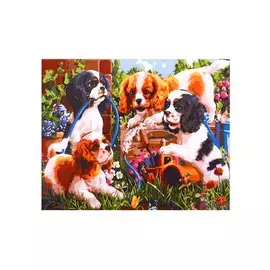 Рисование по номерам "Дружные спаниели в саду"