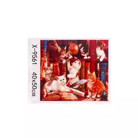 Рисование по номерам "Игривые котята в библиотеке", 40х50 см