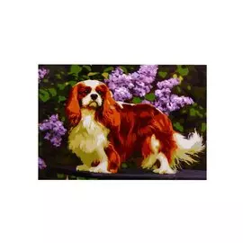 Набор д/творчества Рыжий кот Палитра. Холст с красками 40х50см по номер. в кор. (20 цв.) Пушистая собачка ХК-5887