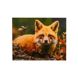 Рисование по номерам "Улыбчивая лиса"