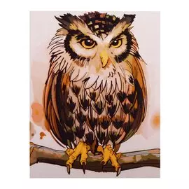 Рисование по номерам "Задумчивая сова"