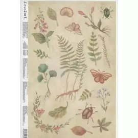 Рисовая бумага для декупажа "Ботаника"