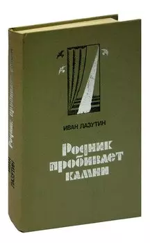 Родник пробивает камни