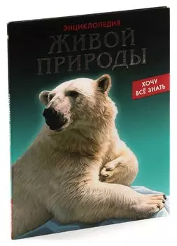 Романтическая битва