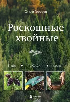 Роскошные хвойные: виды, посадка, уход