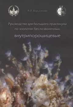 Руководство для большого практикума по зоологии беспозвоночных. Внутрипорошицевые