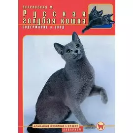 Русская голубая кошка. Содержание и уход (цвет.)