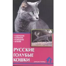 Русские голубые кошки