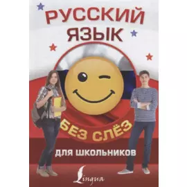 Русский язык для школьников БЕЗ СЛЁЗ
