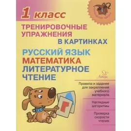 Русский язык, математика, литературное чтение.1 класс. Тренировочные упражнения в картинках
