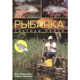 Рыбалка. Тактика ловли