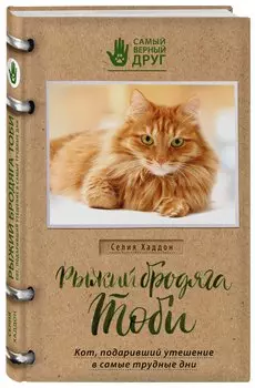 Рыжий бродяга Тоби. Кот, подаривший утешение в самые трудные дни