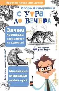 С утра до вечера