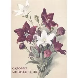 Садовые многолетники Набор открыток (упаковка)