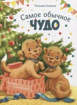 Самое обычное чудо