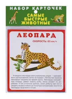 Набор карточек "Самые быстрые животные"