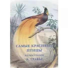 Самые красивые птицы. Набор открыток