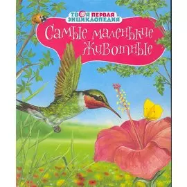 Самые маленькие животные