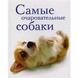 Самые очаровательные собаки