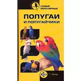 Самые популярные попугаи и попугайчики