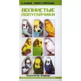 Самые популярные волнистые попугайчики