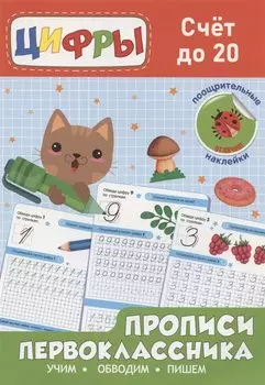 Прописи первоклассника. Счёт до 20