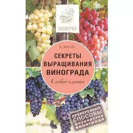 Секреты выращивания винограда в любом климате
